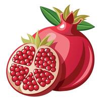 Pomegranate fruit illustration vector
