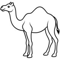 Camel On desert flat style 2d illustration vector