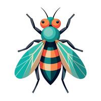 Fly Illustration art, a simple fly illustration vector