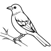 Bird Coloring book page hand draw illustration vector