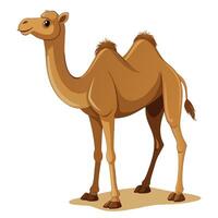 Camel On desert flat style 2d illustration vector