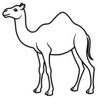 Camel On desert flat style 2d illustration vector