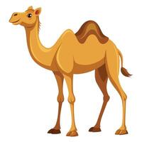 Camel On desert flat style 2d illustration vector