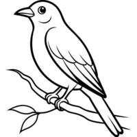 Bird Coloring book page hand draw illustration vector