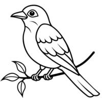 pájaro colorante libro página mano dibujar ilustración vector