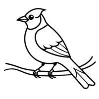 Bird Coloring book page hand draw illustration vector