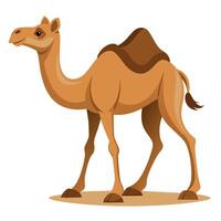 Camel On desert flat style 2d illustration vector