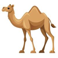 Camel On desert flat style 2d illustration vector