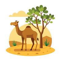 Camel On desert flat style 2d illustration vector