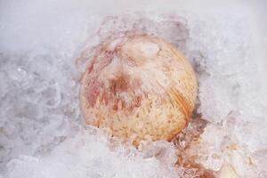 Favorite tropical Coconuts soaked in ice for a refreshing summer drink in Thailand photo