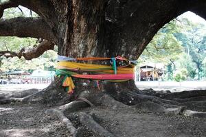 Multi-colored fabric cloth tied to a large tree is a belief about sacred things and the spiritual refuge of Buddhists in Thailand. photo