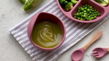 Healthy baby food in bowl video