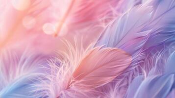 Pastel Color Soft Feather Abstract Background, Dreamy Palette of Serene Hues for Sophisticated Designs photo
