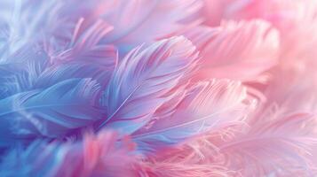 Pastel Color Soft Feather Abstract Background, Dreamy Palette of Serene Hues for Sophisticated Designs photo