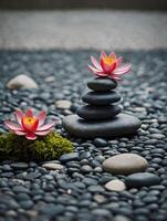 Zen stones with pink lotus flower on black pebbles background photo
