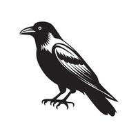 black and white crow vector