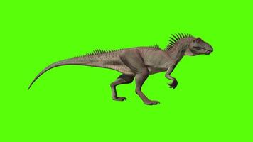 dinosauro ruggito animazione su verde schermo video