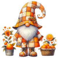 Garden Gnome with Oranges Illustration. png