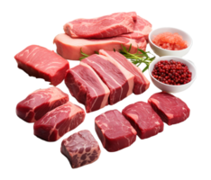 fresh raw beef cutlet dish isolated on transparent background, generated ai png