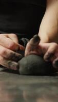 manos de cocinero profesional trabajando a negro masa con harina y calamar tinta video