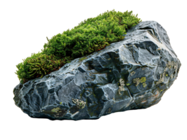 A large rock with moss growing on it png