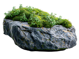 A large rock with moss growing on it png