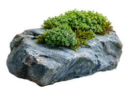 A large rock with moss growing on it png