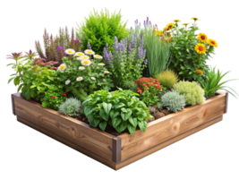 ein hölzern Box gefüllt mit ein Vielfalt von Blumen und Pflanzen png