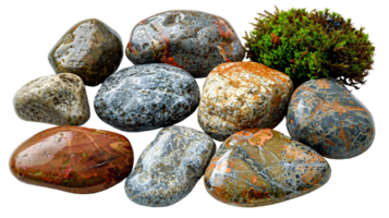 uma grupo do pedras com uma verde musgo crescendo em topo do eles png