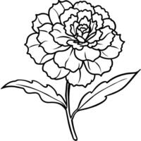 Carnation flower plant outline illustration coloring book page design, Carnation flower plant black and white line art drawing coloring book pages for children and adults vector