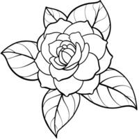 Camellia flower plant outline illustration coloring book page design, Camellia flower plant black and white line art drawing coloring book pages for children and adults vector