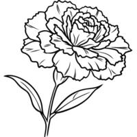 Carnation flower plant outline illustration coloring book page design, Carnation flower plant black and white line art drawing coloring book pages for children and adults vector