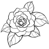 Camellia flower plant outline illustration coloring book page design, Camellia flower plant black and white line art drawing coloring book pages for children and adults vector