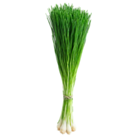 Fresh chives vibrant green color slender stems Food and culinary concept png