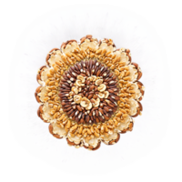 Paradise nut mandala a circular pattern of whole paradise nuts paradise nut halves and paradise png