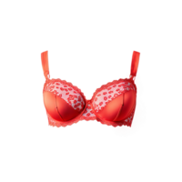 Bright Coral Lace Bra A bright coral lace bra with a vibrant cheerful color featuring png