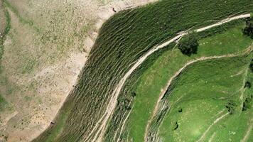 Aerial top view view of a mountain in the national park in Slovenia at spring. Action. Flying above a high hill with a one slope covered by green grass and narrow paths and another by stones and sand. video