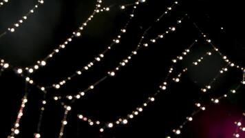 Spider web in macro photography. Creative. A thin spider web with dew droplets that stretches and shakes video