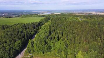 Maravilhoso panorama Visão a partir de uma olho do pássaro visualizar. grampo. uma verão verde floresta com uma estrada para carros Próximo para a campo e dentro a fundo uma pequeno provincial Cidade com Campos e pequeno casas video