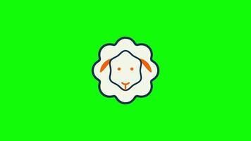 Animated Goat in Green Screen. Cartoon Goad Animation in Green Background, video