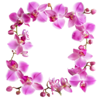 Luxury Pink Orchid Flowers Frame AI-Generative png