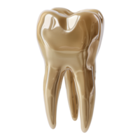 Gold tooth with transparent background png