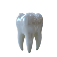 Glossy 3d model of a human molar tooth png