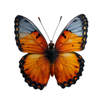 vibrant Orange et noir papillon avec propager ailes png