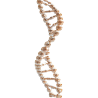 3d renderen van een dna element Aan transparant achtergrond png