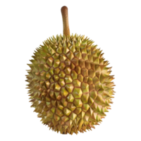 3d le rendu de une durian fruit sur transparent Contexte png