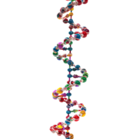 3d representación de un adn elemento en transparente antecedentes png