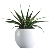 3D Rendering of a Green Plant in a pot on Transparent Background png