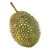 3d interpretazione di un' durian frutta su trasparente sfondo png