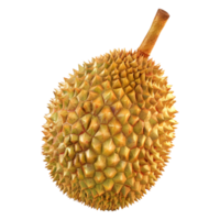 3d interpretazione di un' durian frutta su trasparente sfondo png